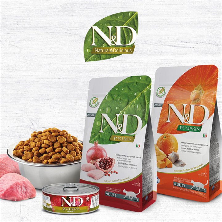 Category-Homepage-N&D
